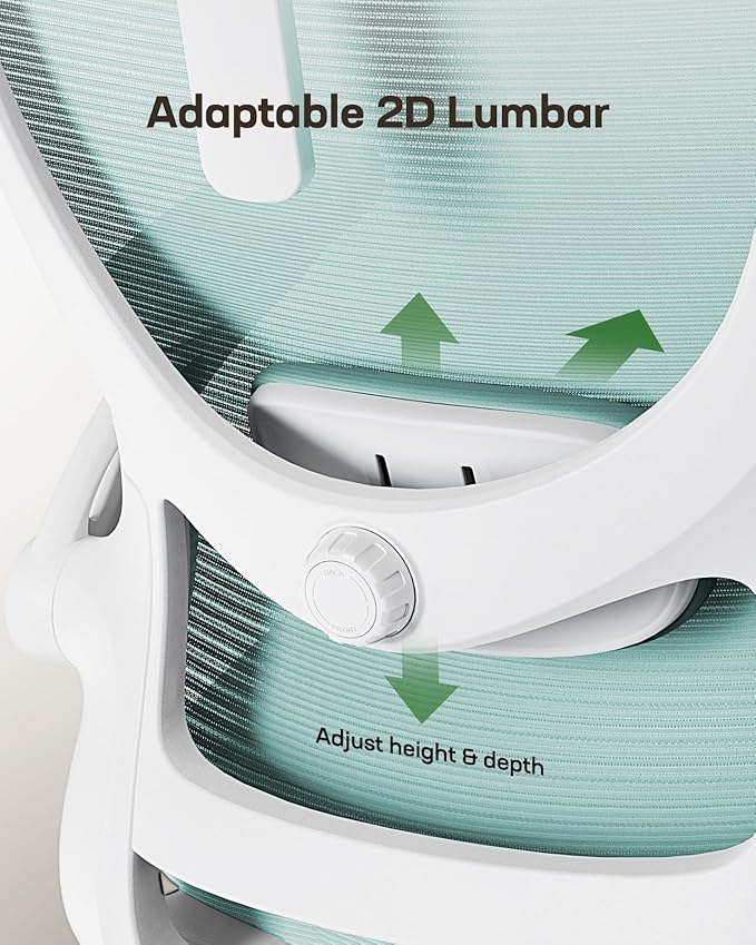 Marsail Ergonomic Office Chair: Office Desk Chair with High Back Mesh and Adjustable Lumbar Support Rolling Work Swivel Task Chairs with Wheel 3D Armrests and Headrest