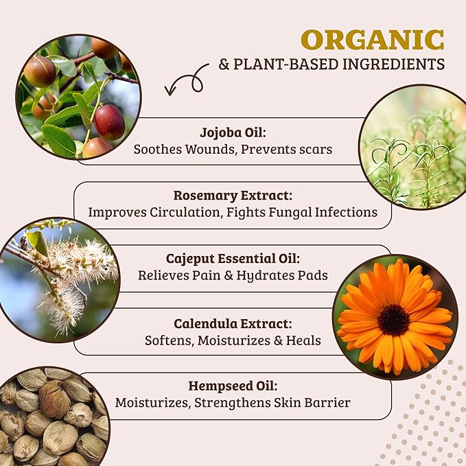 Natural Dog Company Paw Balm & Wax Bundle, Paw Soother + PawTection, Protects & Heals Dry, Cracked Dog Paw Pads, Paw Pad Protector for Exteme Weather, Lick-Safe, Coconut Oil, 2oz Sticks