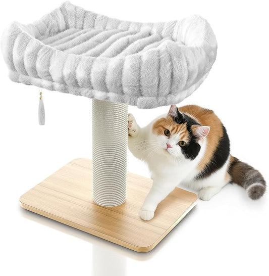 Modern Scratching Post for Indoor Cats - 15” High Cat Scratching Post with Bed Breeds - 15.7” x 11.6” Removable & Washable Cushion (Natural Wood Post with White Bed)