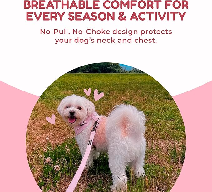 No Pull Puppy Harness and Leash Set – No Choke Neoprene Dog Harness for Extra Small Dogs (5–15lbs) Pink XS, Lightweight Breathable Mesh with Unique Heart Pattern, Adjustable Fit