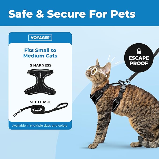 Voyager Escape Proof Cat Harness and Leash Set with Reflective Stitching, Neoprene Handle 5ft - Supports Small, Medium and Large Cats, Kittens for Walking by Best Pet Supplies - Black, S