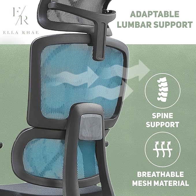 Premium Mesh Executive Home Office Desk Chair, with Ergonomic Lumbar, Black