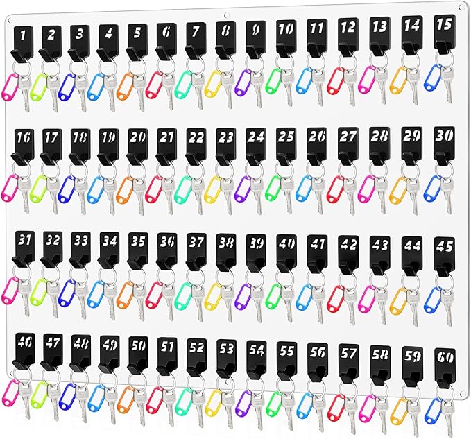 Acrylic Key Board with 60 No. Hooks Wall Mount Key Rack Holder Hanger Storage Collection for School, Garage, Car Dealer, Office, Hotel, Real Estate(Transparent)