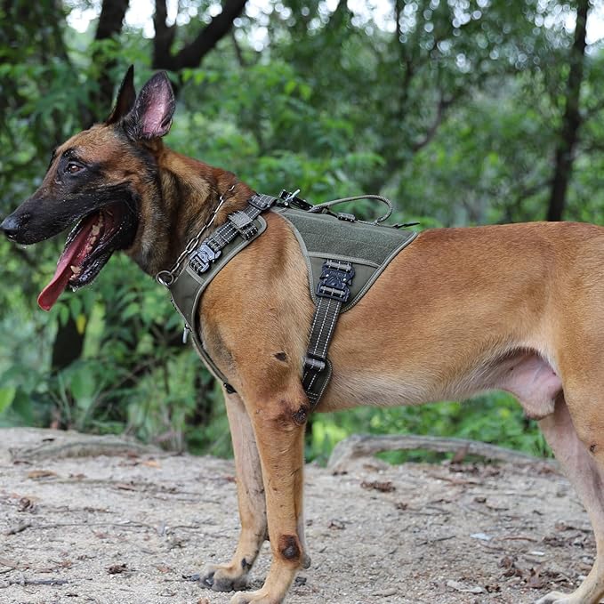 ICEFANG GN8 Tactical Dog Harness with 4X Metal Buckles for Large Sized Dogs,Reflective in Training Walking K9 Dog Vest,No-Pull Front Leash Clip,Adjustable Pet Harness (Green, Large (Pack of 1))