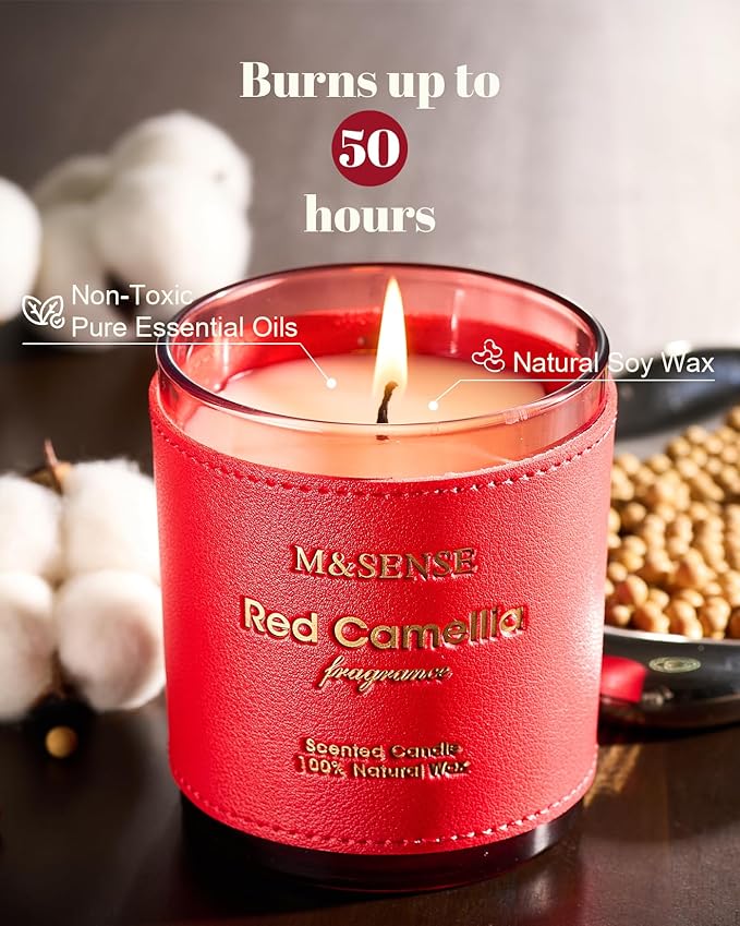 M&SENSE Citrus Floral Scented Soy Candles, Vegan Soy Candle,10oz 42-Hour Long Last Burning Time, No Toxin Bathtub Relaxing Stress Relief Fall Winter Home Fragrance Thanksgiving Christmas Gifts