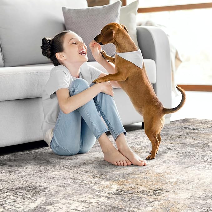 Area Rug Living Room Rugs - 6x9 Modern Abstract Soft Indoor Neutral Washable Rug Stain Resistant Non-Slip Low Pile Carpet for Bedroom Dining Room Home Office - Charcoal Grey