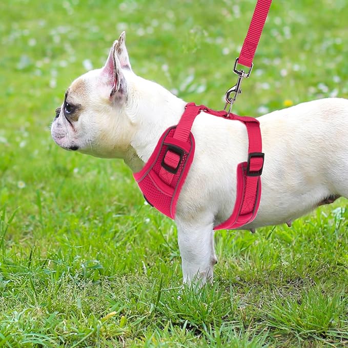 PUPTECK Small Dog Harness and Leash Set, No Pull Adjustable Puppy Cat Harness, Reflective Soft Mesh Pet Vest Small Sized