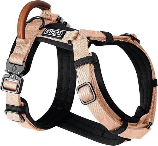MADE TO ROAM Premium Explorer Harness - Y-Shaped Dog Harness with Adjustable Durable Nylon, Soft Padding, Metal Buckles and Leather Handle for Small, Medium, Large Dogs (Carolina Blooms, Size 5)