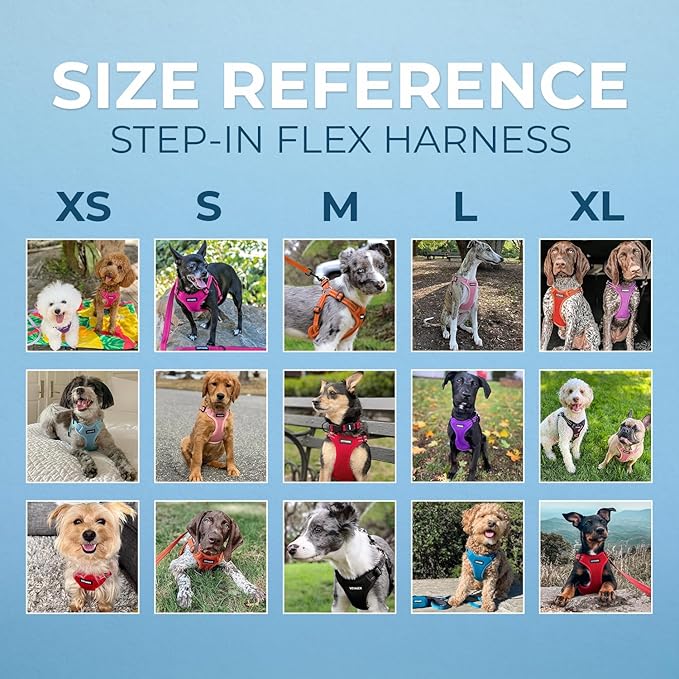 Best Pet Supplies Voyager Adjustable Dog Vest Harness Breathable No Pull Harness for Small, Medium, Large Dogs, Heavy Duty Harness, Easy Step-in, Reflective Stripes - Lavender, XS (Chest: 13-16")