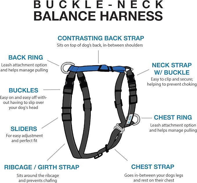 Blue-9 Buckle-Neck Balance Harness, Fully Customizable Fit No-Pull Harness, Ideal for Dog Training and Obedience, Made in The USA, Sky Blue, Large