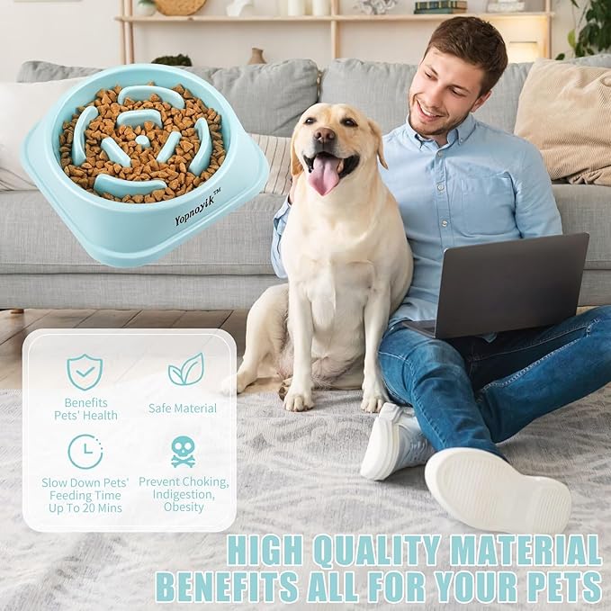 Slow Feeder Dog Bowls for Healthy Eating, Non-Slip and Anti-Choking Design, Reduces Bloating & Overeating for Medium Dogs and Cats, Easy to Clean