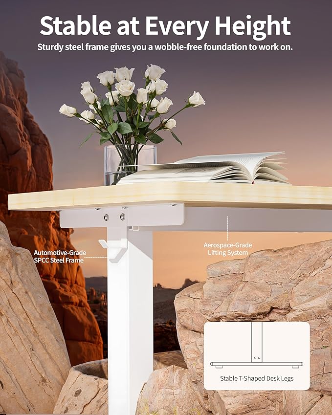 BIZUM Standing Desk Electric Adjustable Computer Desk-Stand up Desk Office Gaming Home Office Memory Desks 48x24 inches Maple