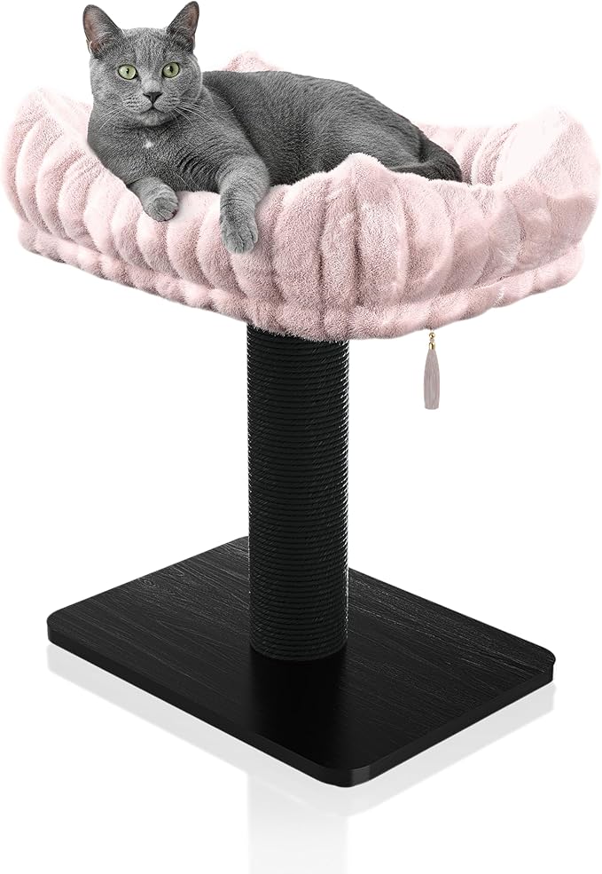 Modern Scratching Post for Indoor Cats - 15” High Cat Scratching Post with Bed Breeds - 15.7” x 11.6” Removable & Washable Cushion (Black Post with Pink Bed)