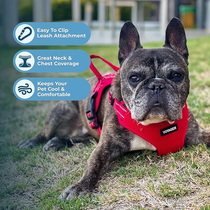 Best Pet Supplies Voyager Adjustable Dog Vest Harness Breathable No Pull Harness for Small, Medium, Large Dogs, Harness for Walking, Jogging, Easy Step-in, Reflective Stripes - Red, M