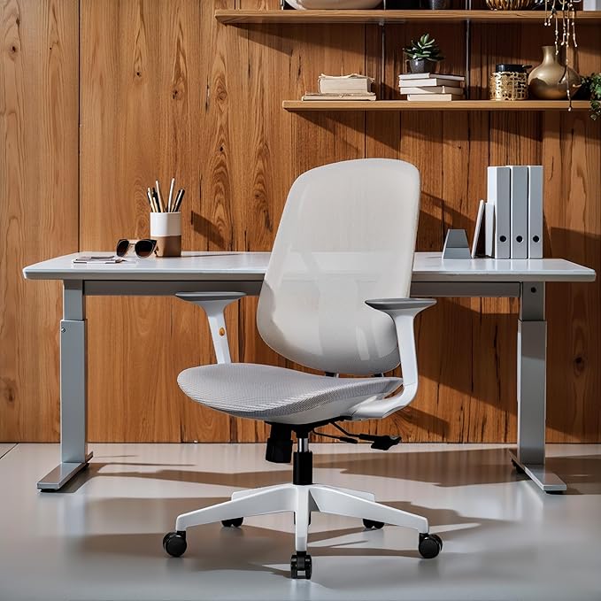 Mesh Office Chair – Ergonomic Office Chair with Lumbar Support, Adjustable Armrests & Sliding Soft Seat Cushion – Holds Up to 270lbs (Grey)