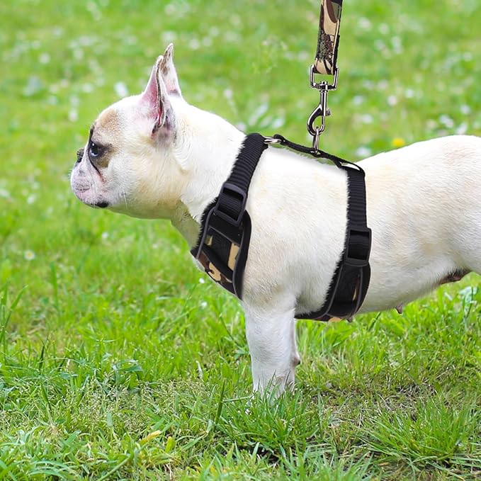 PUPTECK Small Dog Harness and Leash Set, No Pull Adjustable Puppy Cat Harness, Reflective Soft Mesh Pet Vest Small Sized