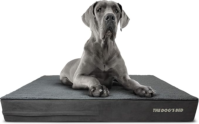 The Dog’s Bed Orthopedic Memory Foam Dog Bed, XXL Grey Plush 54x36, Pain Relief for Arthritis, Hip & Elbow Dysplasia, Post Surgery, Lameness, Supportive, Calming, Waterproof Washable Cover