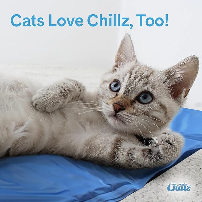 The Green Pet Shop Chillz Gel Mat, Medium - Pressure-Activated Cooling Pad for Pets 0-25 lbs - Non-Toxic, No Water or Refrigeration Needed - Ideal for Home, Travel & Crates