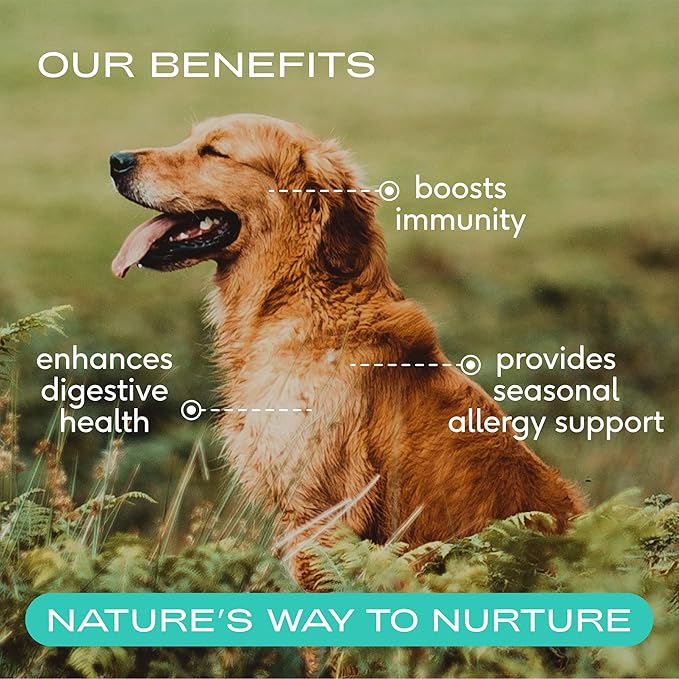 Native Pet Colostrum for Dogs – Bovine Colostrum Powder – Allergy Relief, Immune Support & Itchy Skin Treatment – Dog Multivitamins for Skin & Gut Health – Puppy Milk Replacement & Prebiotic -120 ct.