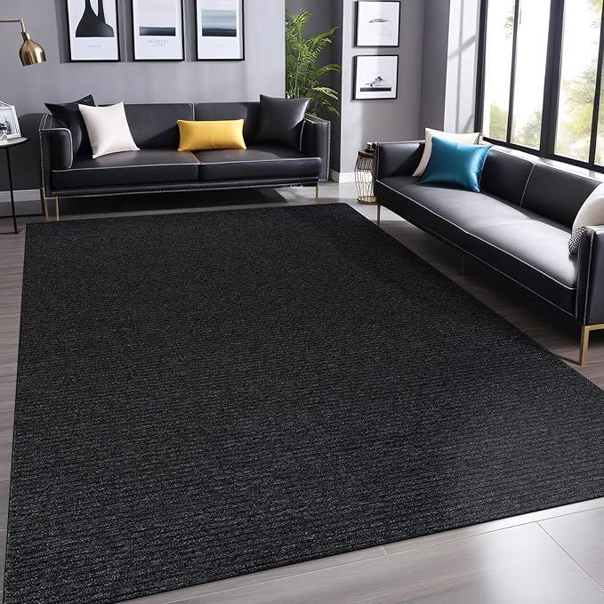 Non Slip Dark Gray Solid Rubber Back Thing Rug for Living Room 5x7 Area Rugs for Kitchen, Rugs for Bedroom, Stain Resistant Easy Cleaning Non Shedding Carpet Dark Gray 5 x 7
