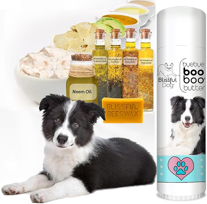 The Blissful Dog .50 oz Tube Border Collie Booboo Butter