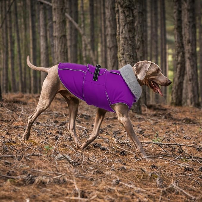 Lelepet Warm Dog Coat Reflective Fleece Vest Waterproof Dog Jacket with Adjustable Buckle Hook & Loop Windproof Cold Weather Coats for Small Medium Large Dogs, Purple, S