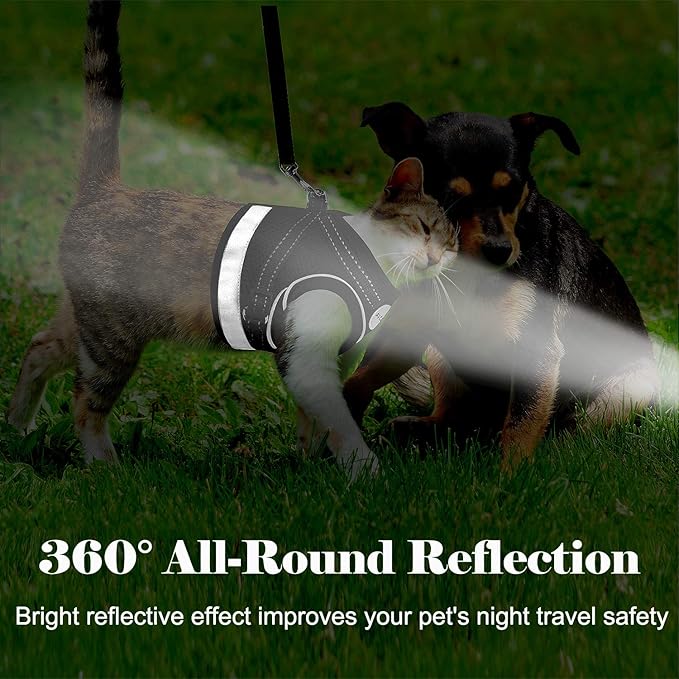 Cat Harness and Leash for Walking, Kitten Escape Proof Harnesses, Adjustable Reflective Puppy Harness with Leashes Set, Easy Adjustable Soft net Breathable Pet Safety Vest M (Chest: 12" - 14") Black