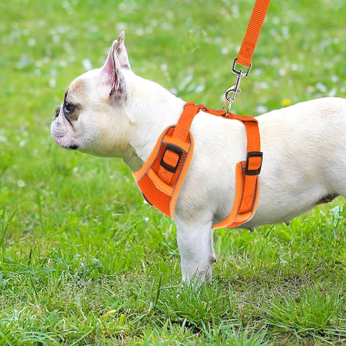 PUPTECK Small Dog Harness and Leash Set, No Pull Adjustable Puppy Cat Harness, Reflective Soft Mesh Pet Vest Small Sized