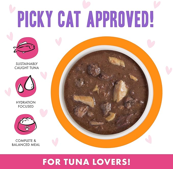 B.F.F. OMG - Best Feline Friend Oh My Gravy!, Tuna & Salmon Start Me Up with Tuna & Salmon, 2.8oz Can (Pack of 12)