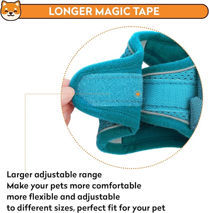 Dog Harness with Leash Set, No-Pull Step-in Reflective Pet Harness with 1 Leash Clips, Adjustable Soft Padded Easy Walk Dog Vest for Small Medium Large Dogs, Cats(Teal, XXSmall)
