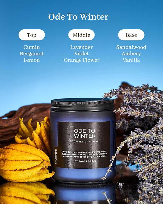 M&SENSE Ode to Winter Scented Candle for Home Natural Soy Wax Non Toxic Cotton Wick Winter Scent, 7.05oz Up to 50 Hours Burn Time Gifts for Christmas Holiday