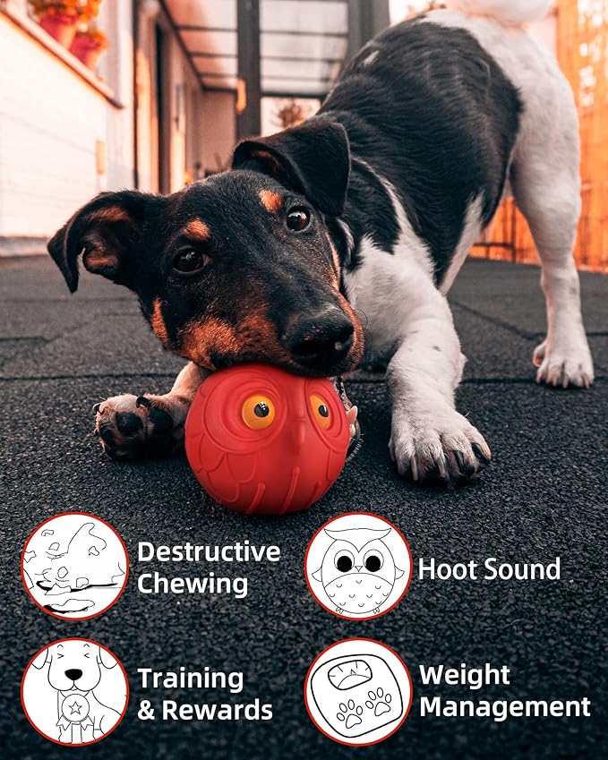Giggle Ball for Dogs Interactive Dog Toys for Pet Ball Medium Large Dogs Gift for Dog Natural Rubber Cute Owl Hoot (Red Owl)
