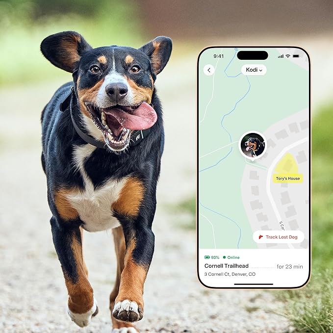 Fi New Series 3+ Smart Dog Tracker Collar [12 Month Membership Included] GPS Tracker for Dogs with Health & Behavior Monitoring, Escape Alerts, Waterproof, LED, Apple Watch Compatible (Yellow, Small)