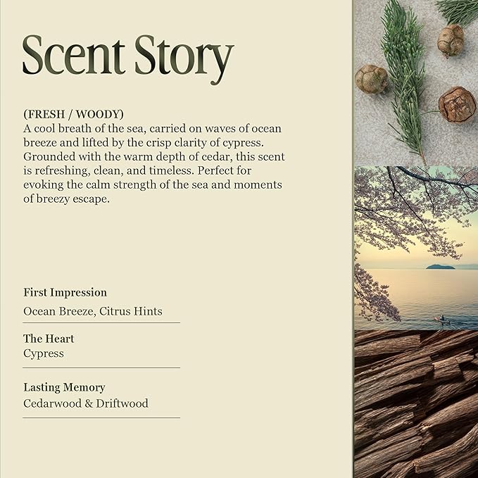 Scented Luxury Candles in Handmade Ceramic Jars, Soy Wax | Day On The Sea – Cypress & Cedar, Large Candle | Non Toxic, 2 Wicks, Reusable Big Blue Jar | Natural Spring Aromatherapy for Women & Men