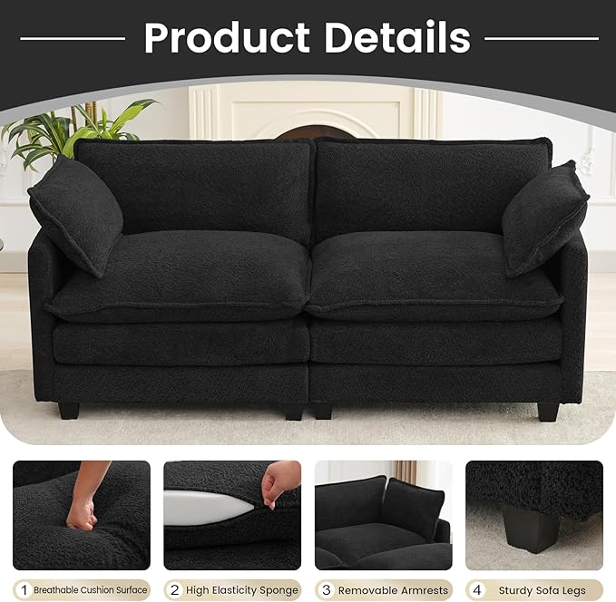 ROWHY Modular Loveseat Sectional Sofa, 78" Upholstered Loveseat, 2 Deep Seat Sofa Couch with 2 Throw Pillows for Small Space, Modern Comfy Cloud Couch for Living Room, Chenille, Black