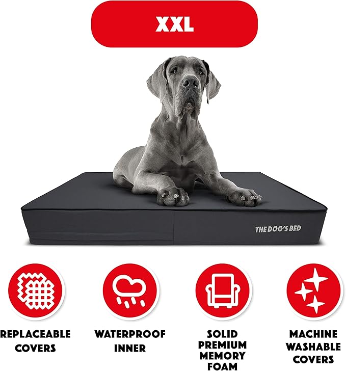The Dog’s Bed Orthopedic Memory Foam Dog Bed, XXL Grey & Black 54x36, Waterproof, Supportive Dog Bed with Replaceable Covers, Veterinary Approved