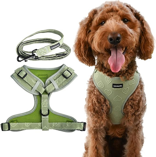 No Pull Puppy Harness and Leash Set – No Choke Neoprene Dog Harness for Small Dogs (15–25lbs) – Green(S), Lightweight Breathable Mesh with Unique Heart Pattern, Adjustable Fit