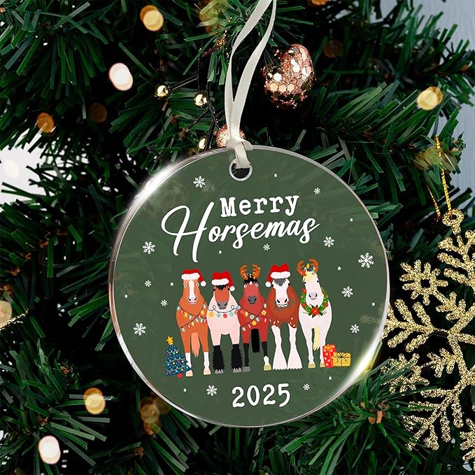 Horse Gifts for Women - Horse Ornaments for Christmas Tree, Unique Cowgirl Gifts for Women, Acrylic Western Ornaments, for Horse Lovers & Girls