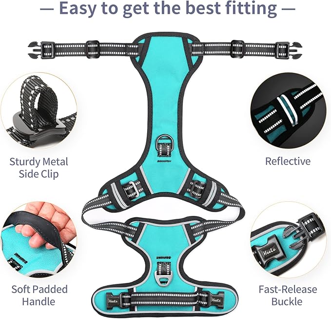 HEELE Dog Harness, No Pull Adjustable Padded Reflective Harness for Small Medium Large Dogs with Handle for Walking Training,Turquoise, M