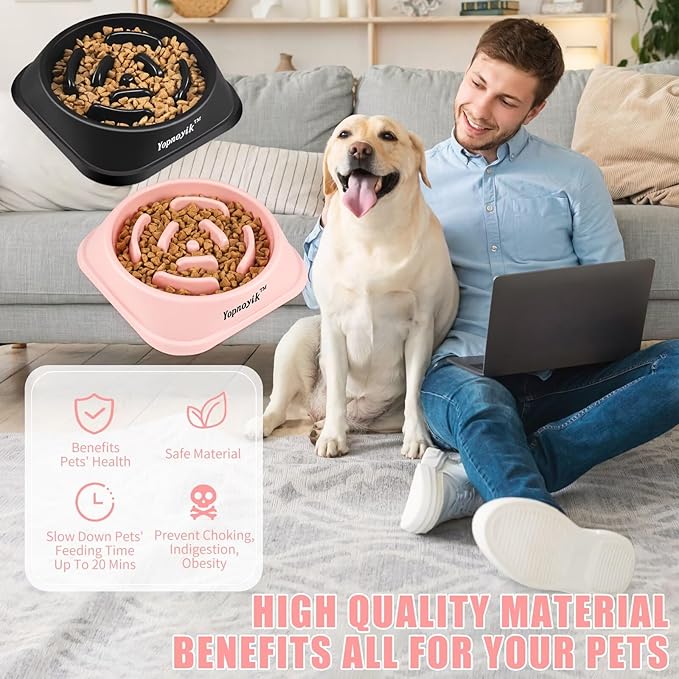 2 Pack Slow Feeder Dog Bowls for Healthy Eating, Non-Slip and Anti-Choking Design, Reduces Bloating & Overeating for Medium Dogs and Cats, Easy to Clean