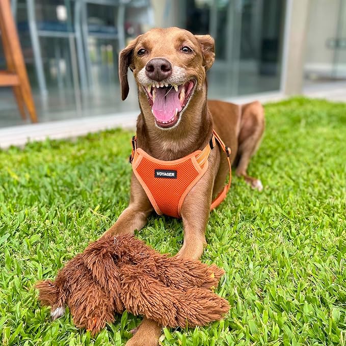 Best Pet Supplies Voyager Adjustable Dog Vest Harness Breathable No Pull Harness for Small, Medium, Large Dogs, Harness for Walking, Jogging, Easy Step-in, Reflective Stripes - Orange, XL
