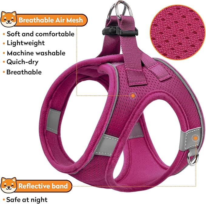 Dog Harness with Leash Set, No-Pull Step-in Reflective Pet Harness with 1 Leash Clips, Adjustable Soft Padded Easy Walk Dog Vest for Small Medium Large Dogs, Cats(Rose Red, XXXSmall)
