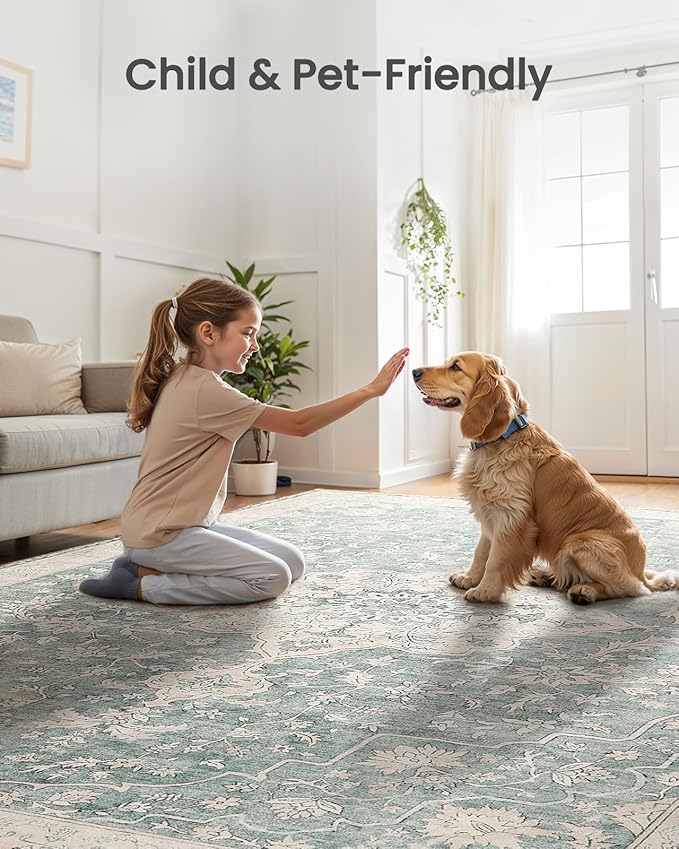 Amada 5x7 Area Rugs, Non-Slip Washable Rug with Low Profile, Durable Bound Edge, Soft Vintage Rug for Living Room, Bedroom, Dinning Room, Home Office