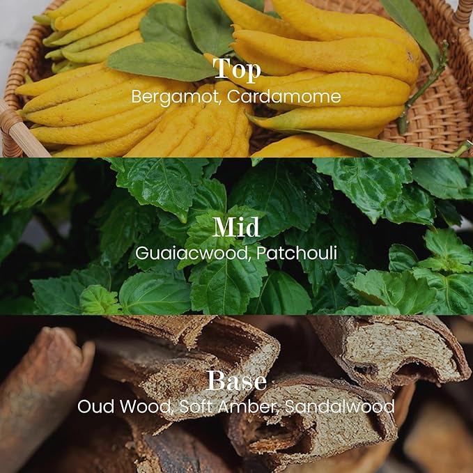 M&SENSE Natural Soy Candle| Oud Wood | 8.82 oz, 50H Burn | Minimalist Christmas Scented Candle for Relaxation, Gifting, Home Décor | for Bedroom, Office, Party Medium