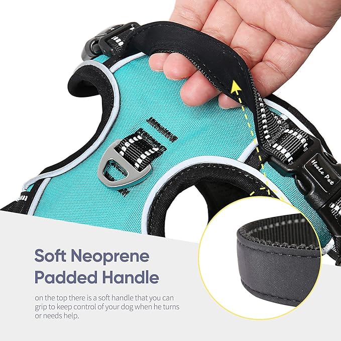 HEELE Dog Harness, No Pull Adjustable Padded Reflective Harness for Small Medium Large Dogs with Handle for Walking Training, Turquoise, XL