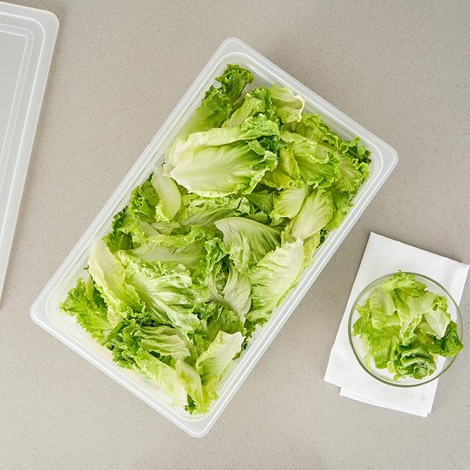 Restaurantware Food Pans Pack of 10 Plastic Rectangle Food Containers Full Size with Traceability Label, Storage Containers Dishwashable Hot Cold Friendly for Restaurants Buffet Commercial Use