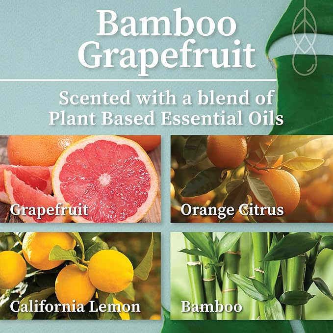 Hemlock Park Crackling Wood Wick Candle Handcrafted with Natural Coconut Wax (Large 16 oz, Bamboo Grapefruit)