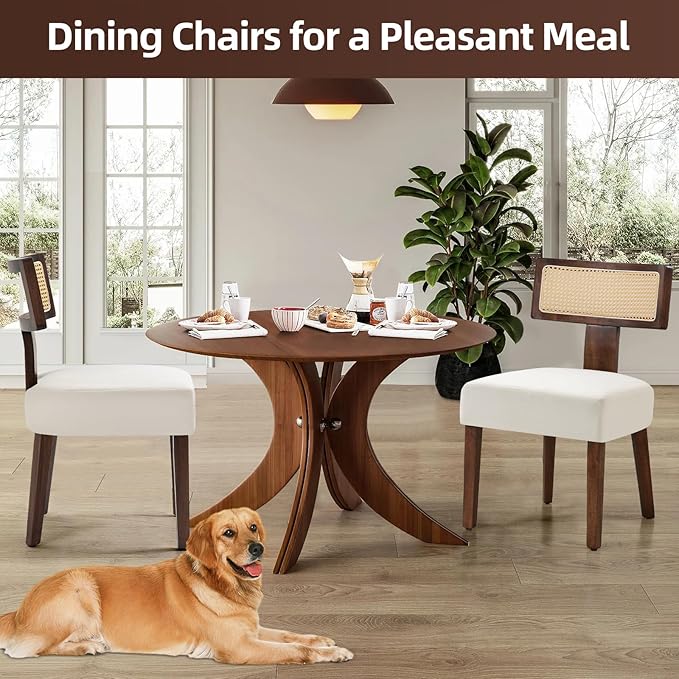 Upholstered Rattan Dining Chairs Set of 2, Mid-Century Modern Fabric Dining Room Chairs with Brown Hardwood Frame, Curved Backrest Kitchen Chair Armless Accent Chairs for Living Room (Cream)