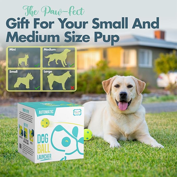Automatic Dog Ball Launcher - Dog Ball Fetch Machine, Ball Thrower for Dogs, for Small to Medium Sized Dogs, Interactive Dog Toy with 6 Latex Balls, Plug-in & Battery Options - 4 Launch Distances