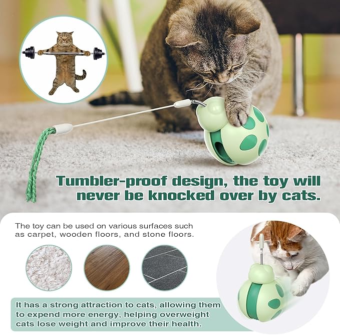 Interactive Cat Toys,Tumbler Design with High-Bounce Teaser Wand,Food Dispense Function for Slow and Healthy Feeder,Suitable for Kittens,Young and Adults Cats on Safe,Funny Play